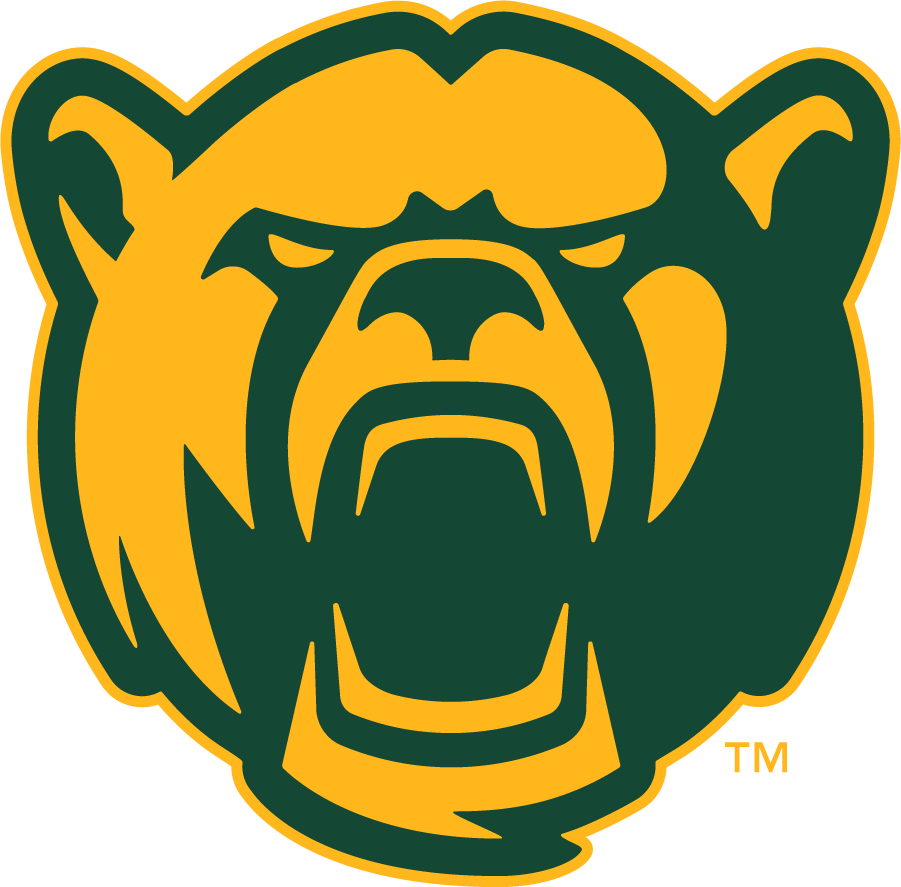 Baylor Bears 2019-Pres Secondary Logo iron on transfers for clothing